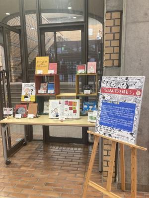 展示の様子