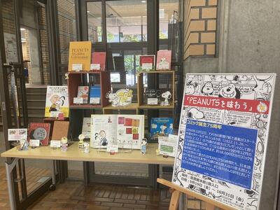 写真・展示の様子